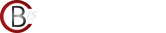 Chesley Bryan Marketing, LLC Logo